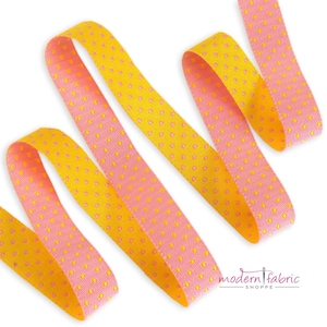 Dots Flair Reversible 5/8" - Tiras y puntos Tula Pink - cortados a medida