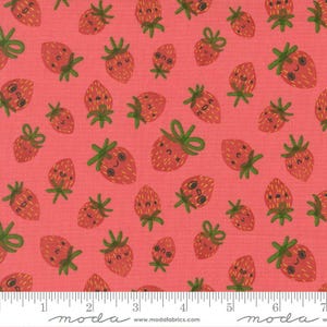 PRE-ORDEN Funny Valentine de Lizzy House - Coral 37142 14 - Half Yard - Noviembre 2025