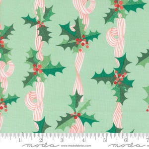 Kleine Weihnachten by Lizzy House- Mint 37133 16- Half Yard- Juni 2025