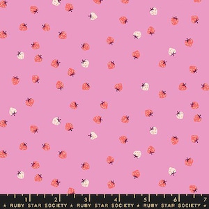 Strawberry by Kimberly Kight- Strawberry Daisy RS3086 19- Half Yard- May 2025