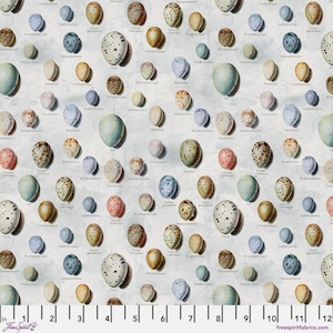 Tim Holtz- Eclectic Elements Palette- Blue Eggs PWTH285.BLUE- Half Yard- May 2025