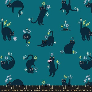 Freaky Familiar- Collaboration by Ruby Star Society- Catwalk RS 5193 14- Storytime- Half Yard- June 2026