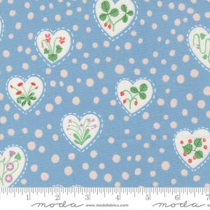 PRÉ-ENCOMENDA Funny Valentine da Lizzy House - Sky 37144 25 - Half Yard - Novembro de 2025