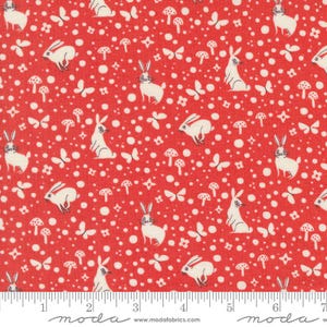 Love Letter by Lizzy House- Rot 37127 18- Half Yard- Januar 2025