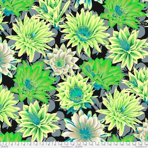 Kaffe Fassett Collective-Philip Jacob- Cactus Flower PWPJ096.CONTRAST- Half Yard