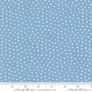 PRE-ORDEN Funny Valentine de Lizzy House- Sky 37148 25- Half Yard- Noviembre 2025