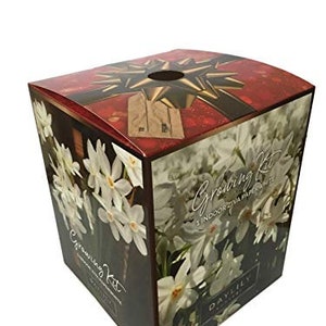 May include: A square box with a red and black top featuring a gold bow design. The sides of the box display white flowers against a dark background. Text on the box reads "Growing Kit" and "Daylily".