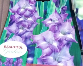 Purple Easy to Grow Gladiolus Bulbs-- End of season Bulb Clearance! You choose amount!!