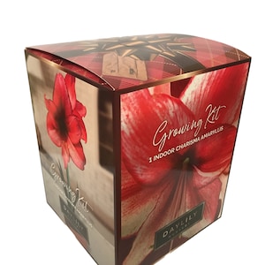 Indoor Amaryllis Kit - Charisma - Deep Red--FREE SHIPPING!!