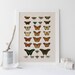 Skyler Sutter reviewed VINTAGE BUTTERFLY PRINT- High Quality Reproduction - Old Nature Print Butterfly Art Antique Natural History Print - Vintage Science Print
