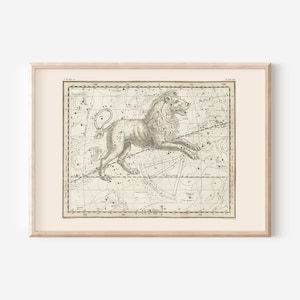 LEO PRINT, Sternzeichen Karte, professionelle Reproduktion, Konstellation Wandkunst Zodiac Wandkunst, Astrologie Karte, Sternenkarte, Horoskop