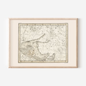 PEGASUS Star Map Print, Zodiac Sign Print, Professional Reproduction, Horoscope Wall Art Astrology signs Map Zodiac signs Star Map