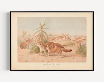 ANTIEKE DIERENTUIN, vintage venkelprint, antieke mammalogieposter, professionele reproductie, vintage dierenprint, jaren 1890