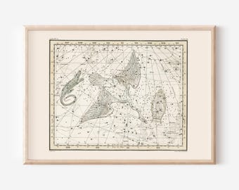 CYGNUS Star Map Print, Zodiac Sign Print, Professional Reproduction, Horoscope Wall Art Astrology signs Map Constellation Chart Zodiac