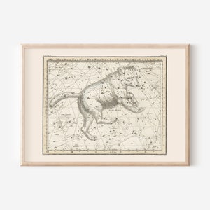 ZODIAC Wall Art, URSA MAJOR Map Print, Zodiac Sign Gift, Constellation Chart Wall Art Zodiac Map Astrology Map Celestial Map