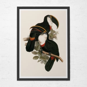TROPICAL TOUCAN PRINT,  Coastal Nature Print, Toucan Wall Art, Living room Wall Decor, Nature Wall Art