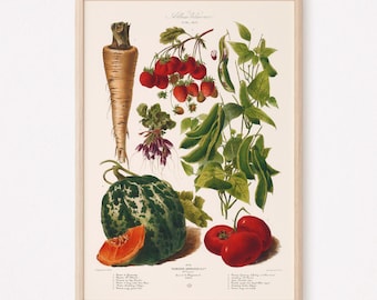 VINTAGE KITCHEN PRINT, Food Lovers Gift, Kitchen Wall Art, Garden Harvest Poster, Vegetables Poster, Kitchen Wall Art, 1910s, Farmcore