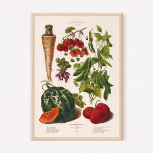 VINTAGE KITCHEN PRINT, Food Lovers Gift, Kitchen Wall Art, Garden Harvest Poster, Vegetables Poster, Kitchen Wall Art, 1910s, Farmcore