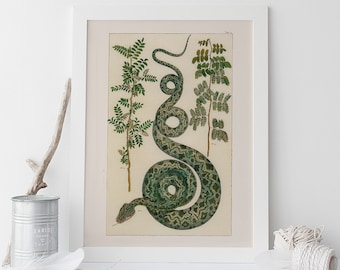 ANTIQUE NATURE PRINT, Vintage Serpent Print, Professional Reproduction, Antique Snake and Fauna Print Nature Wall Art Nature Art Print