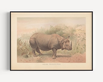 ANTIQUE ZOOLOGY PRINT, Vintage Rhinoceros Print, Antique Mammalogy Poster, Professional Reproduction, Vintage Animal Print, 1890s