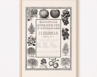 ANTIQUE KITCHEN POSTER, Classic Restaurant Poster, Antique Wall Art, Vintage Americana, High Quality Reproduction