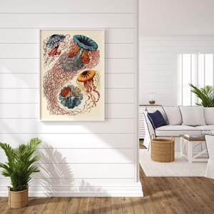 NAUTICAL WALL ART, Ernst Haeckel Art, Antique Nature Print, Giclee Print, Beach House Decor, Scientific Wall Art, Vintage Science Print image 2