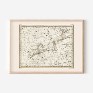 ZODIAC Wall Art, LEO MINOR Map Print, Zodiac Sign Gift, Constellation Chart Wall Art Zodiac Map Astrology Map Celestial Map