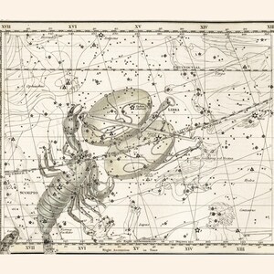 SCORPIO SIGN MAP Print, Zodiac Sign Print, Zodiac Sign Gift, Constellation Wall Art Zodiac Wall Art Astrology Map Star Map 画像 7