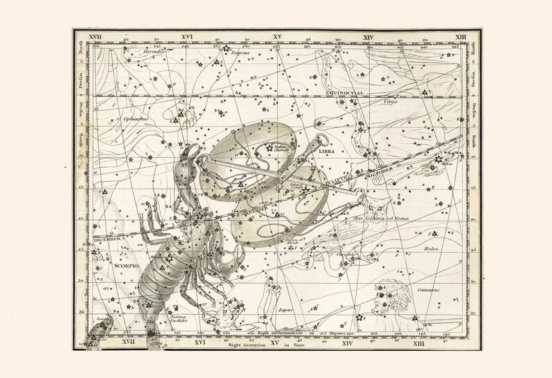 SCORPIO SIGN MAP Print, Zodiac Sign Print, Zodiac Sign Gift, Constellation Wall Art Zodiac Wall Art Astrology Map Star Map 画像 7