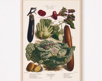 OUTDOOR WALL ART, Vintage Vegetable Print, Antique Food Lover Gift, French Country Cottage Decor, Restaurant Poster, Gardening Poster