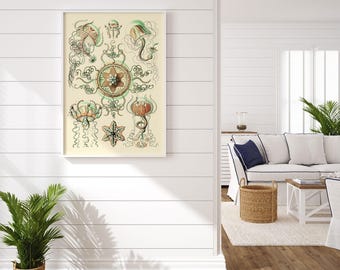 ANTIQUE NAUTICAL PRINT, Ernst Haeckel Print, Antique Nature Print, High Quality Reproduction, Beach House Decor Scientific Wall Art