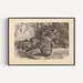 see more listings in the ANTIQUE NATURE PRINTS section