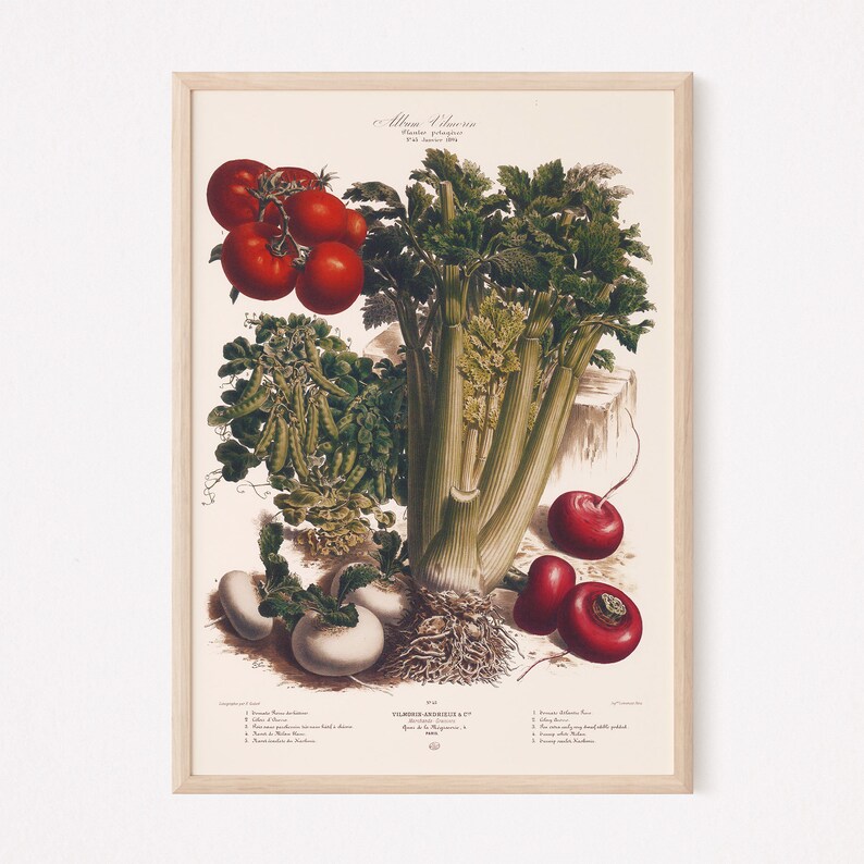 ANTIQUE KITCHEN POSTER Kitchen Wall Art Antique Food Lover - Etsy