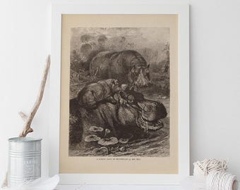 HIPPOPOTAMUS PRINT, Hippo Print Animal Illustration Natural Home Decor, Illustrated Nature Print, Nature Wall Art