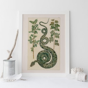 ANTIQUE NATURE PRINT, Vintage Schlange Druck, professionelle Reproduktion, Antike Schlange und Fauna Druck Natur Wandkunst Natur Kunstdruck