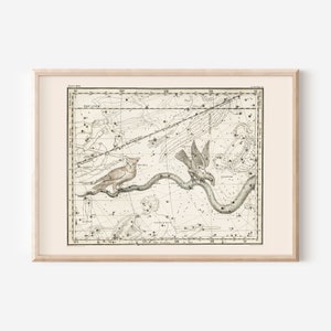 HYDRA STERN KARTE Druck, Sternzeichen Druck, professionelle Reproduktion, Antike Horoskop Wand Kunst, Astrologie signiert Sternenkarte