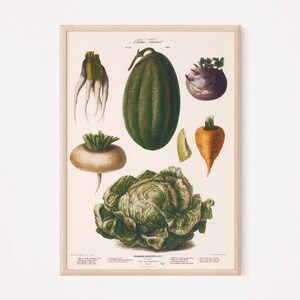 FRENCH COTTAGE COUNTRY Wall Art, Food Lover Wall Art, Classic Kitchen Print, Vegetables Poster, Kitchen Wall Art, Outdoor Porch Decor