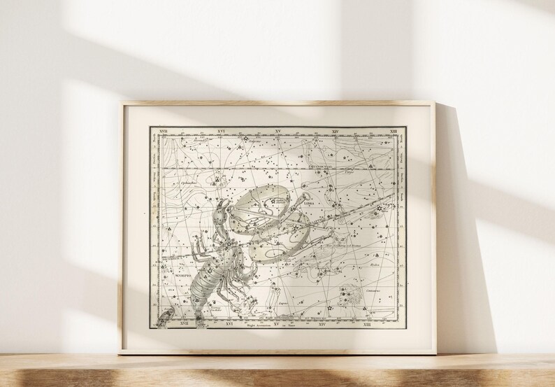 SCORPIO SIGN MAP Print, Zodiac Sign Print, Zodiac Sign Gift, Constellation Wall Art Zodiac Wall Art Astrology Map Star Map 画像 3