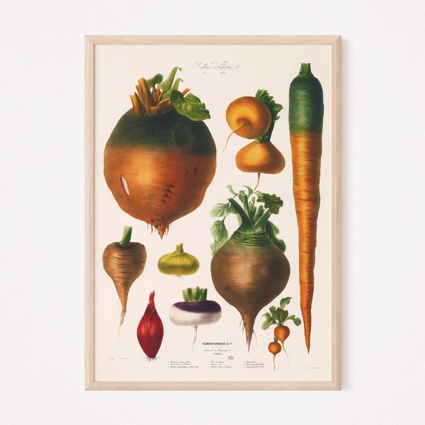 Vegetable Art Print Etsy