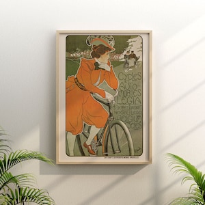 LOT DE 23 plaques de vélo ancienne laiton et alu EUR 190,00 - FR