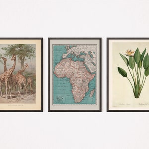 AFRICAN STUDY ROOM Dekor, Vintage Wandkunst für Home Office, Boho Wohnzimmer Dekor, Reise Dekor für Bibliothek, Südafrika Geographie Drucke