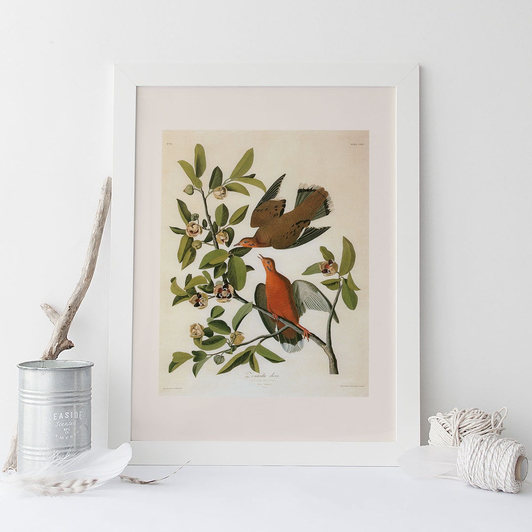 15+ Jon Crane Art Gallery