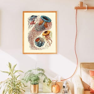 NAUTICAL WALL ART, Ernst Haeckel Art, Antique Nature Print, Giclee Print, Beach House Decor, Scientific Wall Art, Vintage Science Print image 3