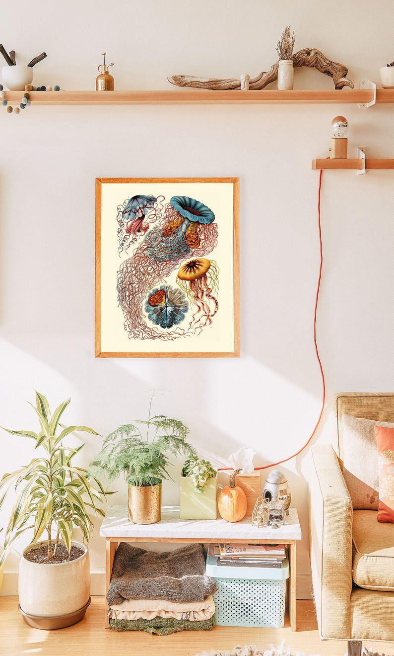 NAUTICAL WALL ART, Ernst Haeckel Art, Antique Nature Print, Giclee Print, Beach House Decor, Scientific Wall Art, Vintage Science Print image 3