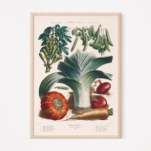 COTTAGE COUNTRY DECOR, Food Lovers Gift, Kitchen Wall Art, Antique Kitchen Print, Vegetables Poster, Kitchen Wall Art, Cottagecore