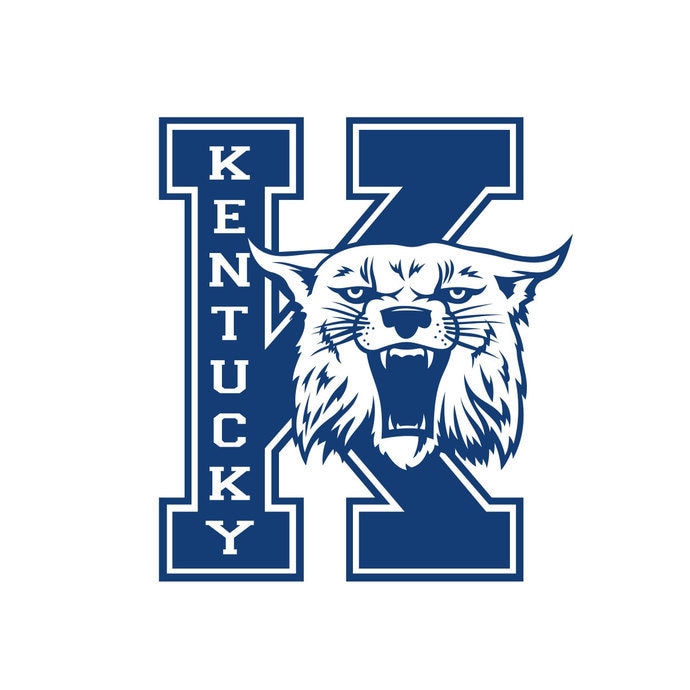 NEW Vintage Style Kentucky Wildcats K Logo Tshirt Etsy