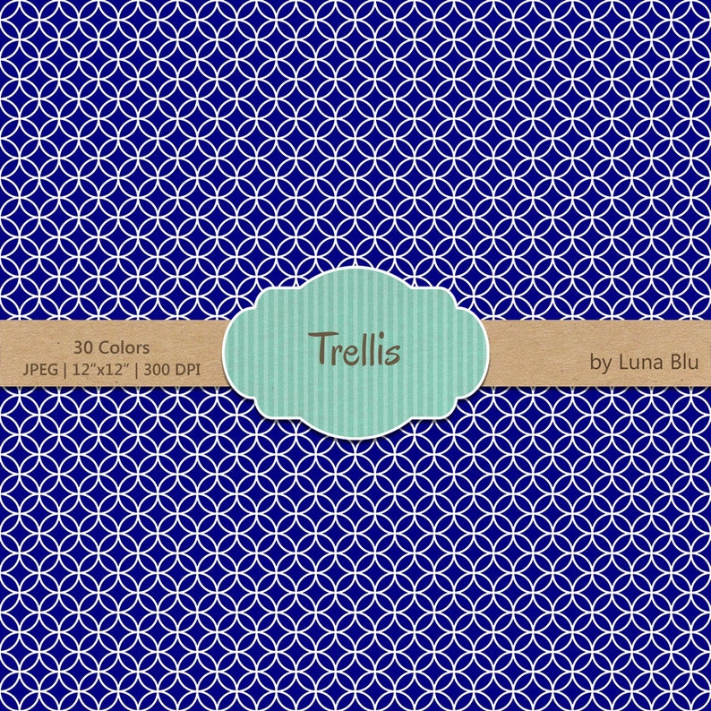 Trellis Digital Paper Pack: rainbow Trellis - Etsy