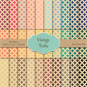 Paquete de papel Digital de enrejado: paquete de papel digital "Vintage enrejado", papel de scrapbook de enrejado, conjunto de 30, uso comercial, mega pack