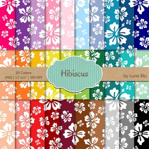 Hibiskus Digital Paper Pack: "Rainbow Hibiskus" digitale Papier, Papier-Bundle, floral Scrapbook Papier, Sommer digitales Papier