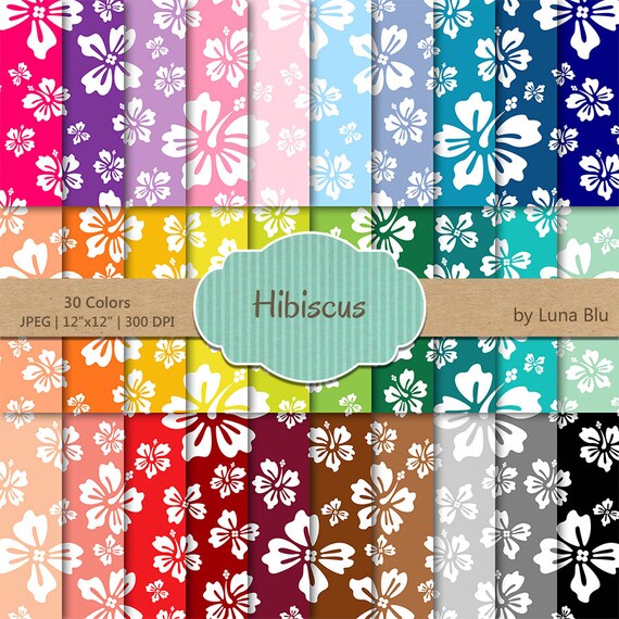 Rainbow Hibiscus Digital Paper Pack: Floral Scrapbook Paper (30, 12x12in)